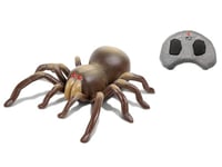 TARANTULA R/C DISCOVERY