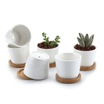 T4U 6 pcs Pot de Succulent en Céramique Blanc Rond 5 cm avec Plateau en Bambou, Cactus Planteur, Pot Jardinière Contenant Décoration de Maison et Bureau