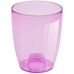 Pot en plastique pour orchidée Coubi Orchid en couleur violet transparent 13,2 (l) x 13,2 (l) x 16 (h) cm