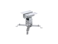 Techly Ica-Pm-2S, Tak, 20 Kg, Silver, -8 - 8°, -15 - 15°, 13 Cm