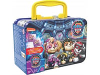 Spin Master Psi Patrol Memory Game Psi Patrol Film 2 Paw Patrol Mighty Pups