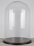 Vintage Look Large Glass Display Dome With Wooden Base Height 61 cm