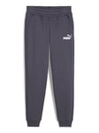 Puma Boys Essentials Fleece Logo Pants - Grey, Grey, Size 3-4 Years