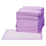 Amazon Basics Lot de 40 Tapis pour bac de litière pour Chat, sans Parfum, Violet, Blanc