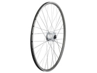 Electra Townie Commute 8D Wheel