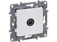 Legrand Niloe Selection Tv-Uttag (Hane) 10Db Pearl 762455