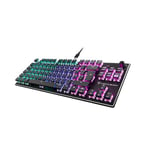 Turtle Beach Vulcan TKL Titanium Switch Mechanical Gaming Keyboard with AIMO RGB Lighting and Anodized Aluminium Cover Plate