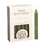 12 Pack Cedar & Pine Green Winter Ritual Spell Candles Home Fragrance Gift