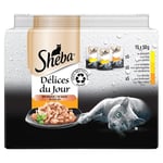 Sheba Délices du Jour Sachets Fraîcheur pour Chat Adulte/Sélection à la Volaille en Sauce/75 Sachets Repas de 50 g