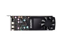 NVIDIA Quadro P400 - Carte graphique - Quadro P400 - 2 Go GDDR5 - PCIe 3.0 x16 - 3 x Mini DisplayPort - pour Workstation Z2 G4 (MT, SFF), Z2 G5, Z2 G8, Z240 (SFF, tower), Z4 G4, Z440, Z6 G4, Z8...