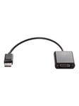 HP DisplayPort to DVI-D Adapter