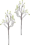 Flair Flower Lot de 2 Tire-Bouchon 90 cm Décoration Printemps/Printemps, Naturel, 90 cm