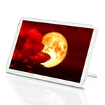 Spooky Full Moon Classic Fridge Magnet - Blood Red Sky Lunar Night Gift #14362