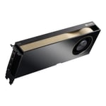 Carte graphique - NVIDIA - Quadro RTX 6000 - 48 Go GDDR6 - Ray tracing en temps réel - 4 x DisplayPort