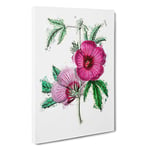 Big Box Art Pink Hibiscus Flowers Canvas Wall Art Framed Picture Print, 30 x 20 Inch (76 x 50 cm), White, Purple, Beige, Green, Purple