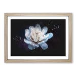 Big Box Art Blue Magnolia Flower Paint Splash Framed Wall Art Picture Print Ready to Hang, Oak A2 (62 x 45 cm)