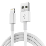 Câble de charge pour Ipad 4 5 6 7 8 9 Ipad Air Génération 1 2 3 Ipad Pro 1ère 2 ème génération Ipad mini 1 2 3 4 5 - 1 mètre - Straße Tech ®