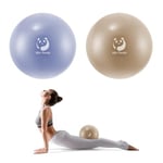 Slim Panda Ballon Pilates Petite, 23 cm Anti-Slip Ballon de Gymnastique avec Paille de Gonflage, Soft Yoga Ball Équilibre pour Seniors Thérapie, Maison, Fitness, Entraînement à l'équilibre