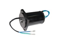 Sierra Tilt/Trim Motor