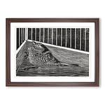 Big Box Art Bird in The Cage by Samuel De Mesquita Framed Wall Art Picture Print Ready to Hang, Walnut A2 (62 x 45 cm)