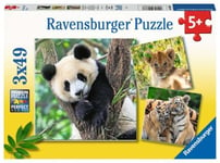 Ravensburger Pussel 3x49 bitar - Panda, Lion And Tiger Cubs