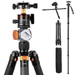 TARION Carbon Fiber Camera Tripod: 67"/170cm Professional DSLR Tripod with Dual Panoramic Ballhead Cold Shoe Extension Mount Travel Tripod for Camera Camcorder Photography Videography Tripod CTH11X