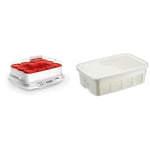 Seb Yaourtière 12 pots, Pots verre 140 ml, 5 programmes automatiques, Sans BPA, Compact, Yaourt maison & XF101001 Delices Box Coffret d'un Bac 1 L Yaourt-Fromage Blanc avec Égouttoir