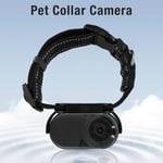 Pet Collar Camera Portable OTG Connection Cat Action Camera For Outdoor