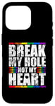 iPhone 16 Pro Break My Hole Not My Heart Funny Gay idea Case