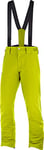 Salomon Men's Ski Trousers, STORMSEASON PANT M, Material: Mixture of Synthetics, Yellow (Citronelle), Size M/R, LC1198400