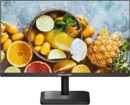 Ds-D5024fn01 24 Inch Monitor