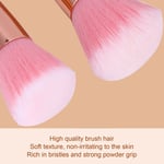 10pcs Brushes Set Face Loose Setting Powder Eyeshadow Brush Tool SetPin