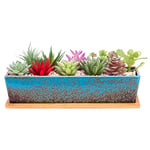 Grands Pots de Plantes succulentes avec Drainage, Pot de bonsaï rectangulaire de 30,5 cm de Long avec Plateau Peu Profond en céramique Cactus Fleur Plante fenêtre pour Jardin à la Maison