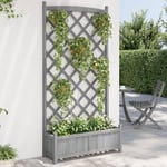 Plantekasse med espalier massivt grantræ grå