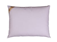 2G Pillow Regina Coton Blanc Oreiller 70 x 50 x 12 cm