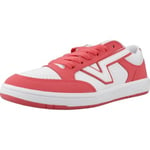 Baskets Vans  LOWLAND CC