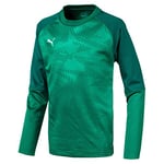 PUMA CUP Training Sweat Core Jr