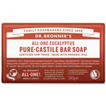 All-One Eucalyptus Pure Castile Soap Bar 140g (Dr. Bronner's)