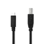 USB B Male to USB-C Male