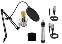 Audibax Berlin 1800 Gold Pro - Microphone de Condesandor Étude - Inclut Le Support, Anti-Pop - Fil et Une Réponse en Fréquence de 20 Hz/20 KHz - Microphone de directivité Cardioïde, de Couleur Or