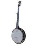 Artisan Goodtime Special Banjo With Resonator