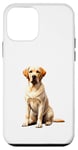 Coque pour iPhone 12 mini Labrador Retriever Lab Labradors Labby