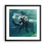 Affiche Poster 40x40cm Tableaux Image Photo éléphant animal eau Wall Art