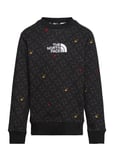 The North Face B Drew Peak Light Crew Print Svart