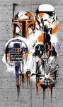 Komar Vd-022 "célébrer le Galaxy" Star Wars papier peint – Multicolore