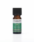 Tisserand Tea Tree Pure Essential Oil