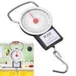 Travel Hanging Hook Weighing Scales Kitchen  Fish Measurement Luggage Scale