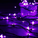 10M 100 LED-ljusslingor - Utomhus Jul, Semester, Bröllop Festlampa, 220v Purple