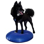 FitPAWS Balansplatta för hund 56 cm blå