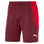 Puma Sfv Home Shorts Replica, Pomegranate Red, XXL